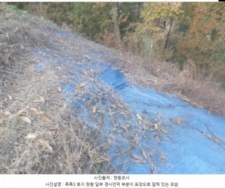 2025타경31917 전북특별자치도 전주시 덕진구 금상동 1111-5 대지 경매 이미지