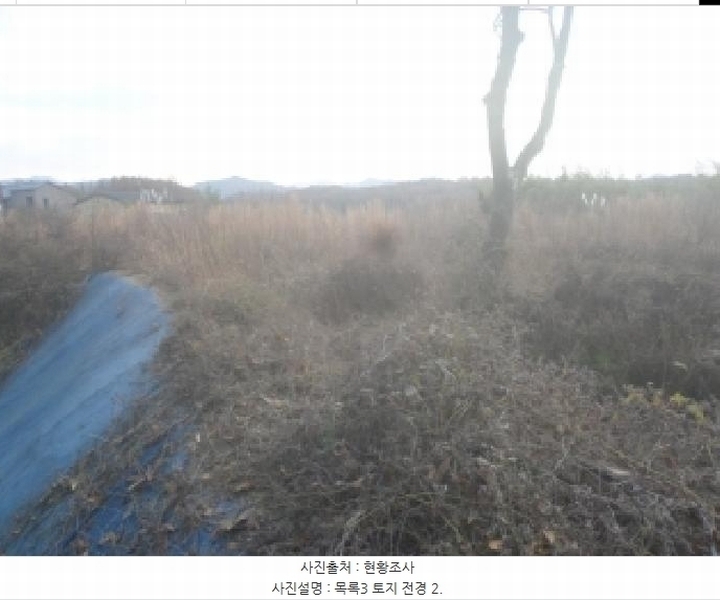 2025타경31917 전북특별자치도 전주시 덕진구 금상동 1111-5 대지 경매 이미지