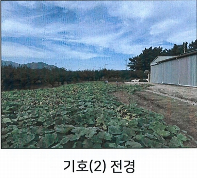 2024타경119071 경상북도 영천시 화산면 대안리 1005-2 근린시설 경매 이미지