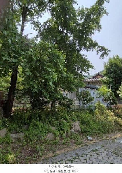 2025타경32783 광주광역시 동구 운림동 산186-2 임야 경매 이미지