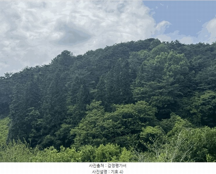 2025타경32723 전라남도 곡성군 석곡면 염곡리 산278 임야 경매 이미지