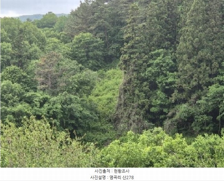 2025타경32723 전라남도 곡성군 석곡면 염곡리 산278 임야 경매 이미지