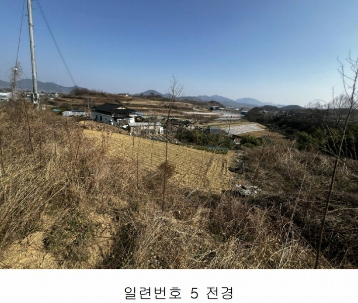 경매 이미지