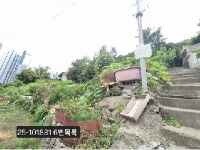 2025타경101881 부산광역시 서구 암남동 472 농지 경매 이미지