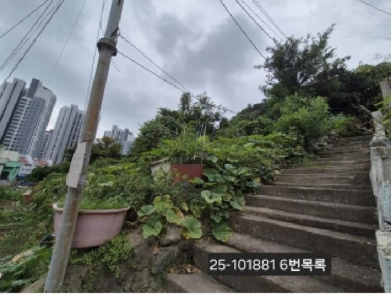 2025타경101881 부산광역시 서구 암남동 472 농지 경매 이미지