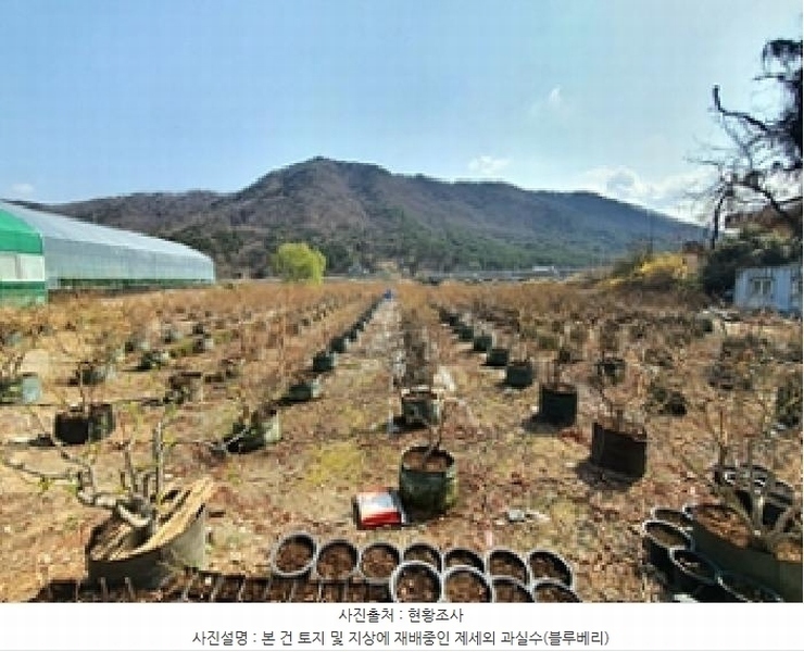 2025타경11222 경상남도 김해시 대동면 주중리 558-3 농지 경매 이미지