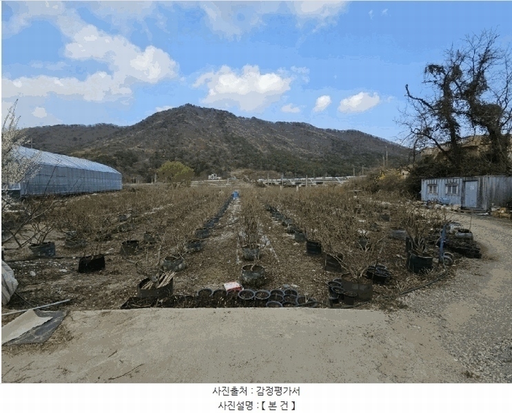 2025타경11222 경상남도 김해시 대동면 주중리 558-3 농지 경매 이미지