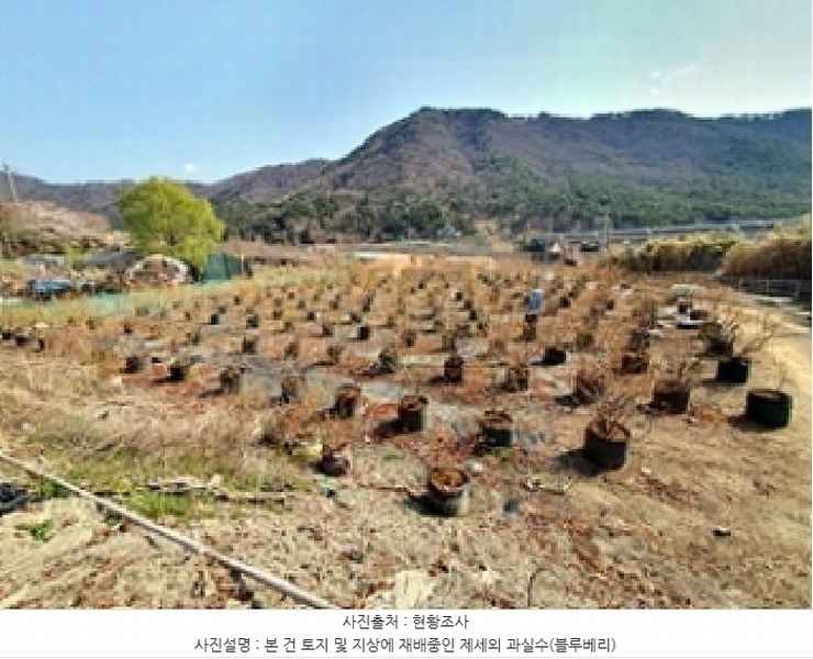 2025타경11222 경상남도 김해시 대동면 주중리 558-3 농지 경매 이미지