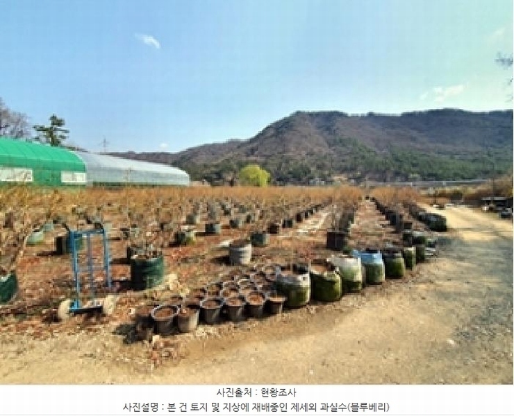 2025타경11222 경상남도 김해시 대동면 주중리 558-3 농지 경매 이미지