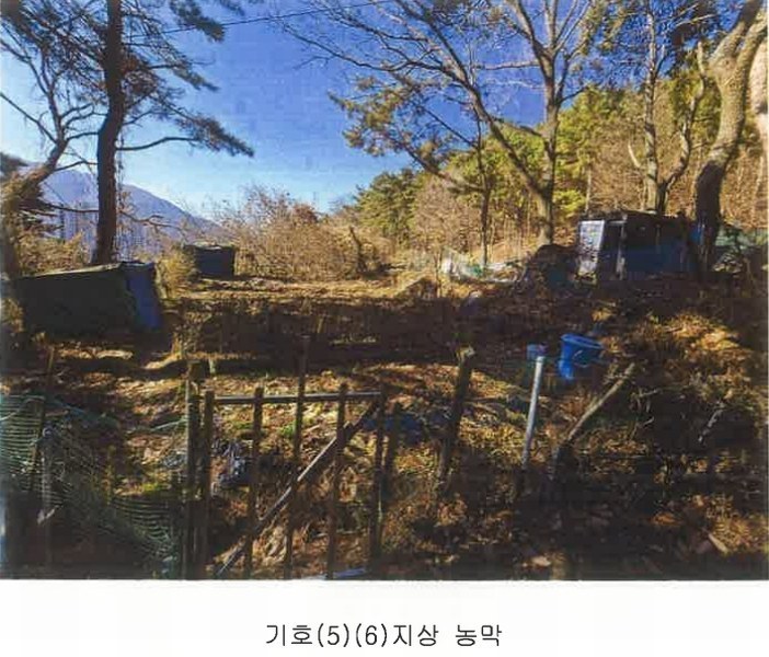 2025타경102114 부산광역시 북구 만덕동 산5 임야 경매 이미지