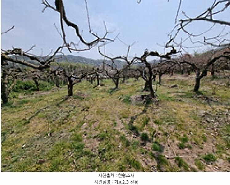 2025타경11291 경상남도 창원시 의창구 북면 내곡리 1032 대지 경매 이미지