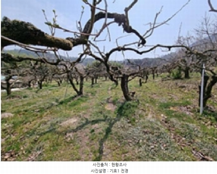 2025타경11291 경상남도 창원시 의창구 북면 내곡리 1032 대지 경매 이미지