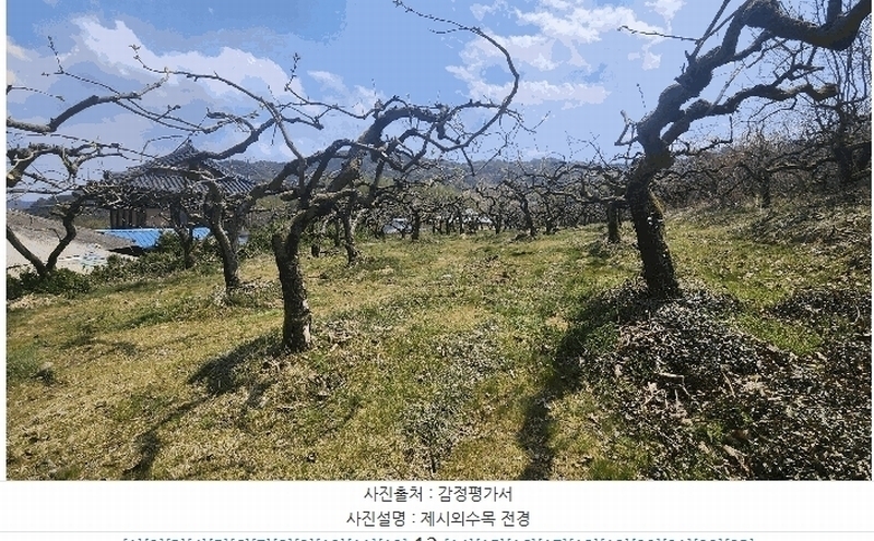 2025타경11291 경상남도 창원시 의창구 북면 내곡리 1032 대지 경매 이미지