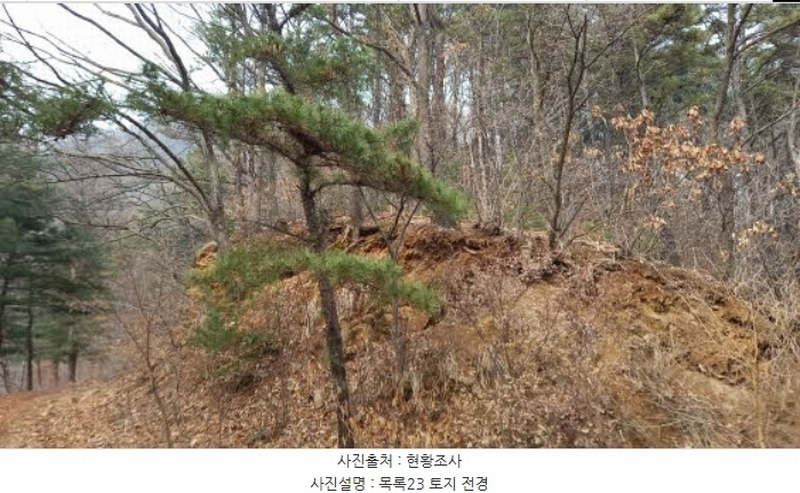 2024타경72144 경기도 포천시 관인면 사정리 산451 임야 경매 이미지