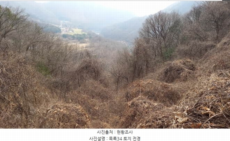 2024타경72144 경기도 포천시 관인면 사정리 산451 임야 경매 이미지