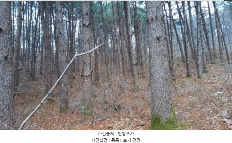 2024타경72144 경기도 포천시 관인면 사정리 산451 임야 경매 이미지