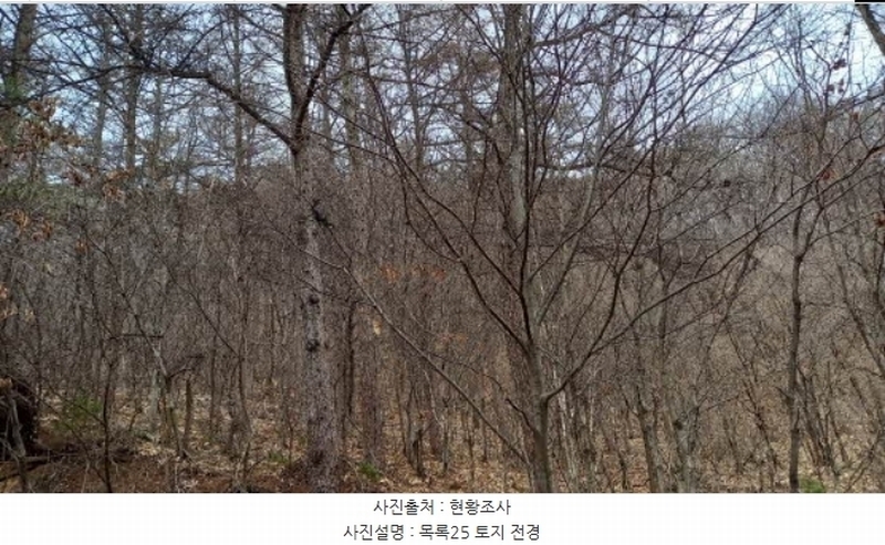 2024타경72144 경기도 포천시 관인면 사정리 산451 임야 경매 이미지