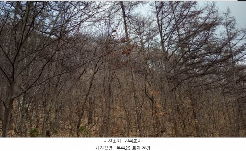 2024타경72144 경기도 포천시 관인면 사정리 산451 임야 경매 이미지