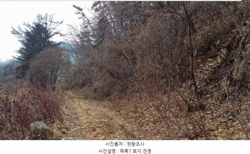 2024타경72144 경기도 포천시 관인면 사정리 산451 임야 경매 이미지