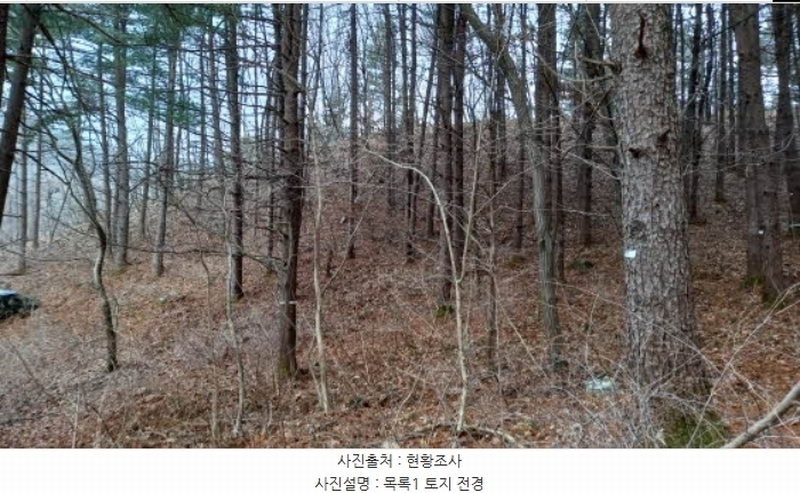 2024타경72144 경기도 포천시 관인면 사정리 산451 임야 경매 이미지