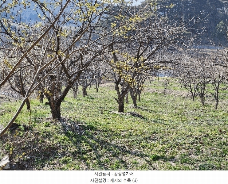 2025타경10513 경상남도 창녕군 성산면 대산리 520-3 농지 경매 이미지