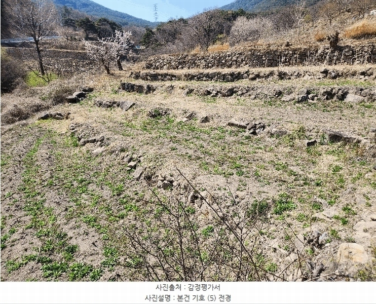 2025타경10513 경상남도 창녕군 성산면 대산리 520-2 농지 경매 이미지