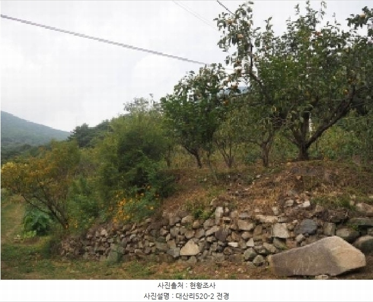 2025타경10513 경상남도 창녕군 성산면 대산리 520-2 농지 경매 이미지