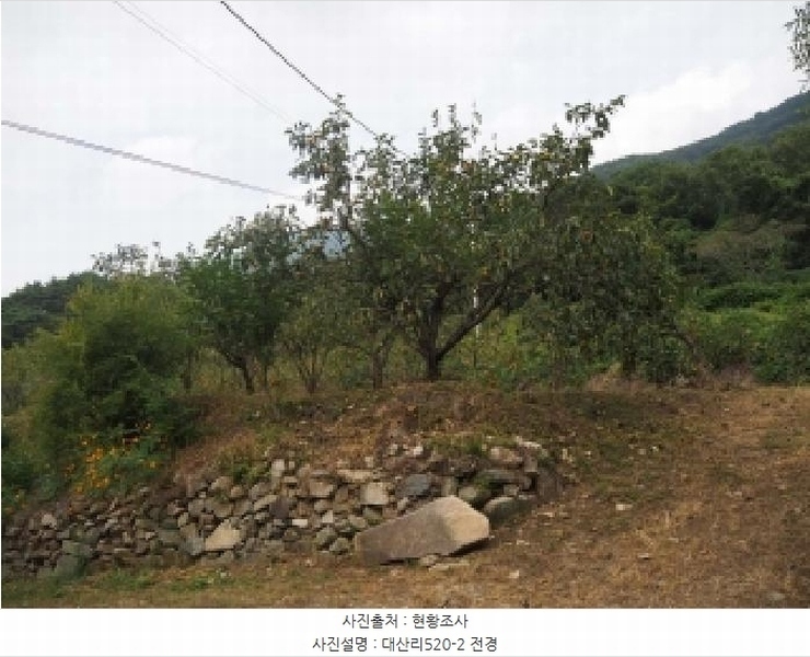 2025타경10513 경상남도 창녕군 성산면 대산리 520-2 농지 경매 이미지