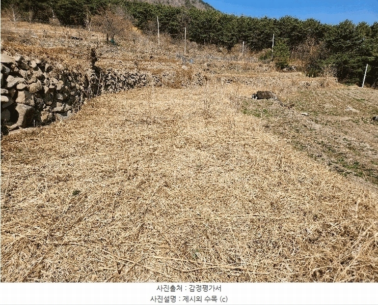 2025타경10513 경상남도 창녕군 성산면 대산리 520-2 농지 경매 이미지