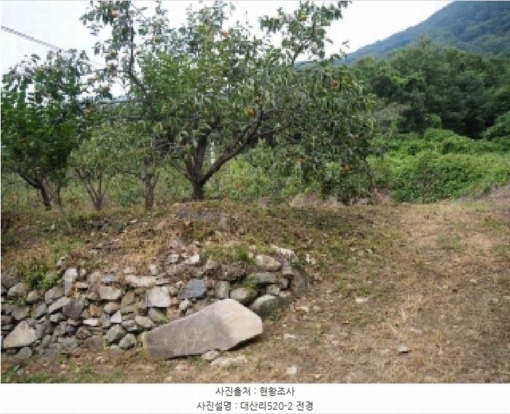 2025타경10513 경상남도 창녕군 성산면 대산리 520-2 농지 경매 이미지