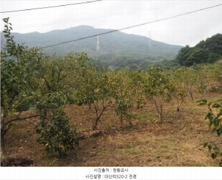 2025타경10513 경상남도 창녕군 성산면 대산리 520-2 농지 경매 이미지