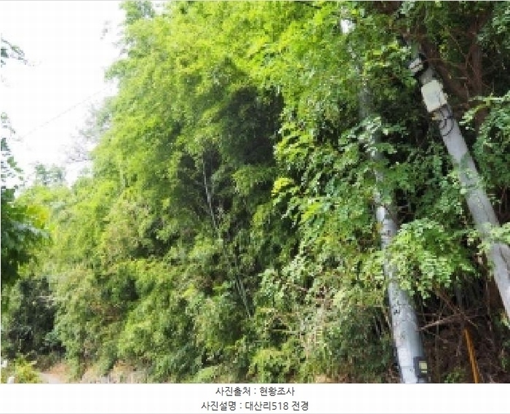 2025타경10513 경상남도 창녕군 성산면 대산리 518 대지 경매 이미지