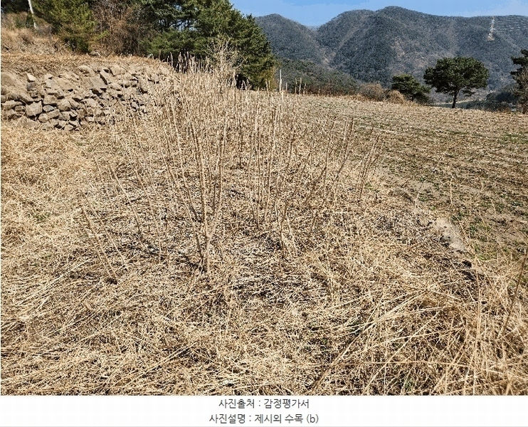 2025타경10513 경상남도 창녕군 성산면 대산리 555 농지 경매 이미지