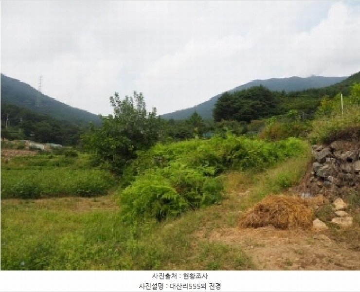 2025타경10513 경상남도 창녕군 성산면 대산리 555 농지 경매 이미지
