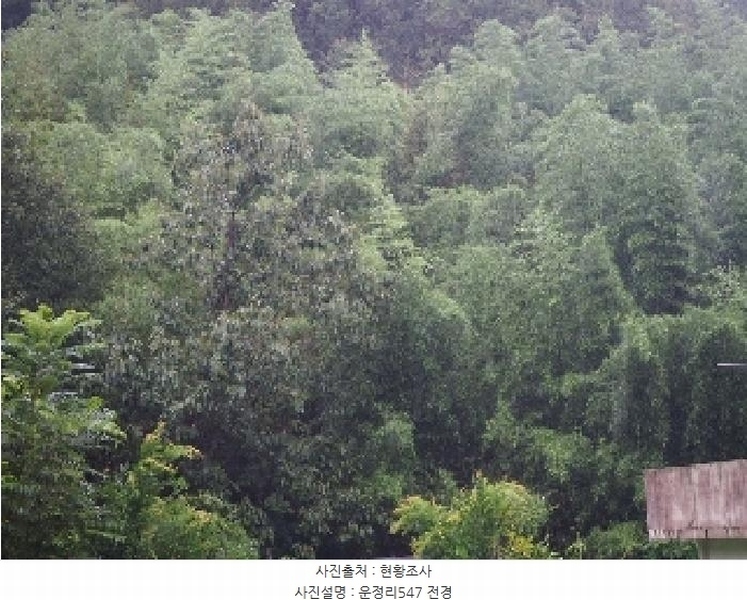 2025타경1554 경상남도 밀양시 무안면 운정리 547 농지 경매 이미지