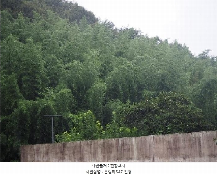 2025타경1554 경상남도 밀양시 무안면 운정리 547 농지 경매 이미지