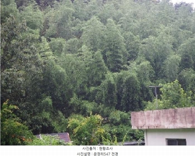 2025타경1554 경상남도 밀양시 무안면 운정리 547 농지 경매 이미지