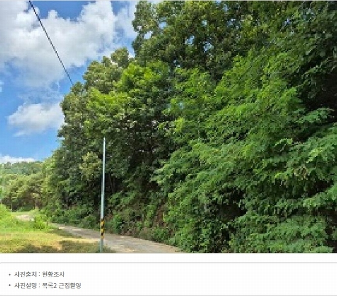 2024타경315 강원특별자치도 원주시 지정면 가곡리 997-2 도로 경매 이미지