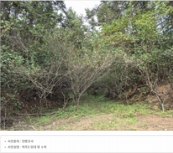 2024타경315 강원특별자치도 원주시 지정면 가곡리 997-2 도로 경매 이미지