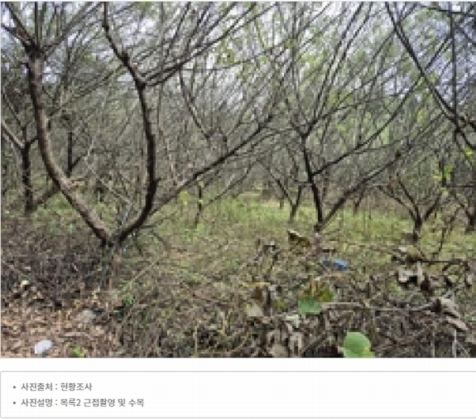 2024타경315 강원특별자치도 원주시 지정면 가곡리 997-2 도로 경매 이미지