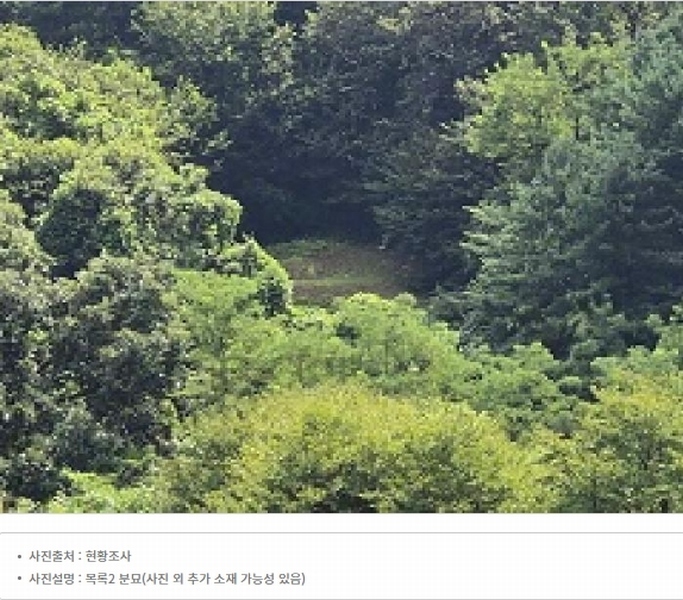 2024타경315 강원특별자치도 원주시 지정면 가곡리 997-2 도로 경매 이미지
