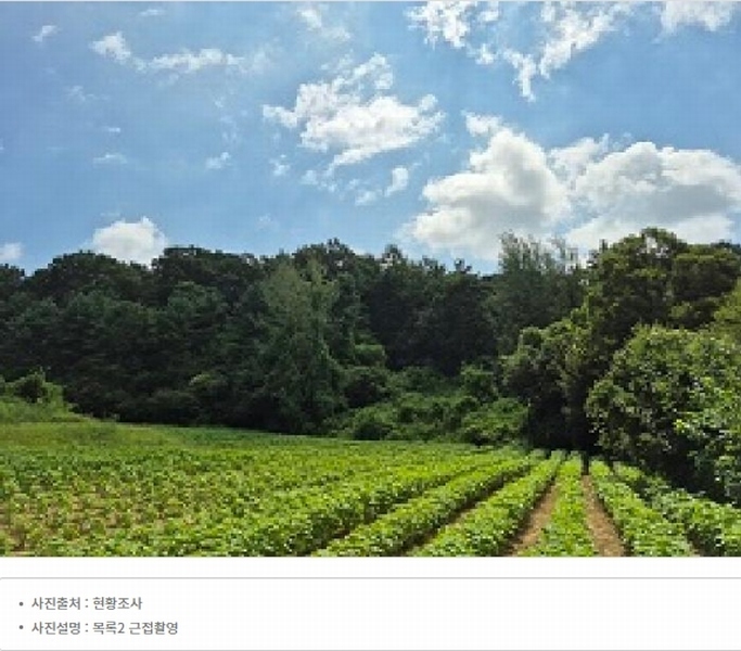 2024타경315 강원특별자치도 원주시 지정면 가곡리 997-2 도로 경매 이미지