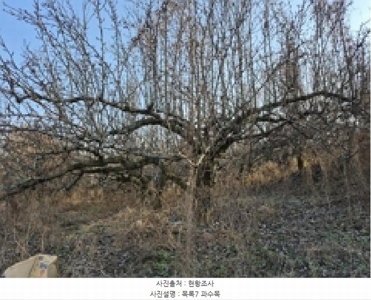 2023타경305204 강원특별자치도 원주시 무실동 119 농지 경매 이미지
