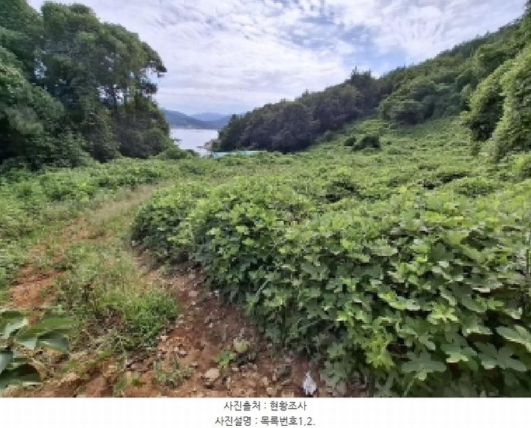 2025타경31193 경상남도 남해군 창선면 진동리 323-3 농지 경매 이미지