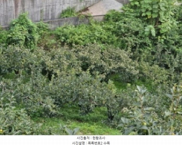 2025타경31084 경상남도 산청군 생비량면 화현리 798-1 농지 경매 이미지