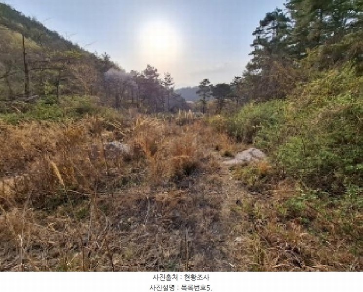 2025타경30706 경상남도 사천시 죽림동 산155 임야 경매 이미지