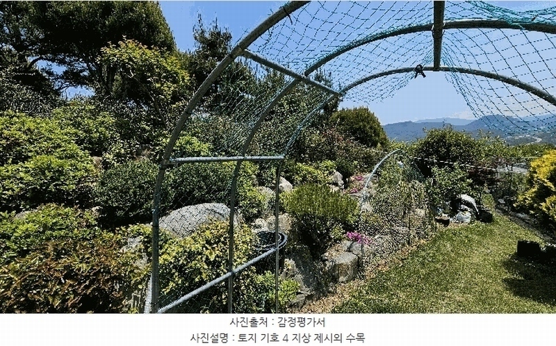 2025타경30813 경상남도 산청군 단성면 방목리 산82-154 임야 경매 이미지