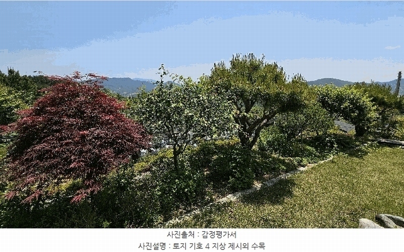 2025타경30813 경상남도 산청군 단성면 방목리 산82-154 임야 경매 이미지