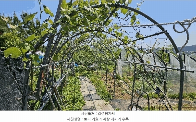 2025타경30813 경상남도 산청군 단성면 방목리 산82-154 임야 경매 이미지