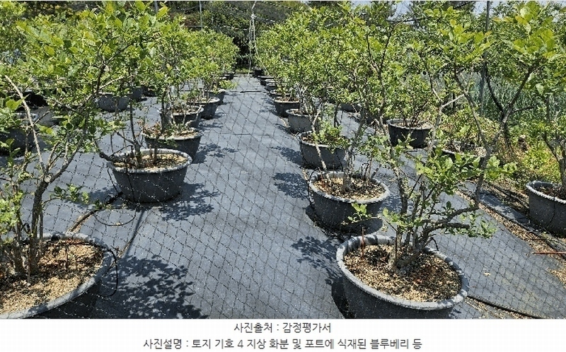 2025타경30813 경상남도 산청군 단성면 방목리 산82-154 임야 경매 이미지